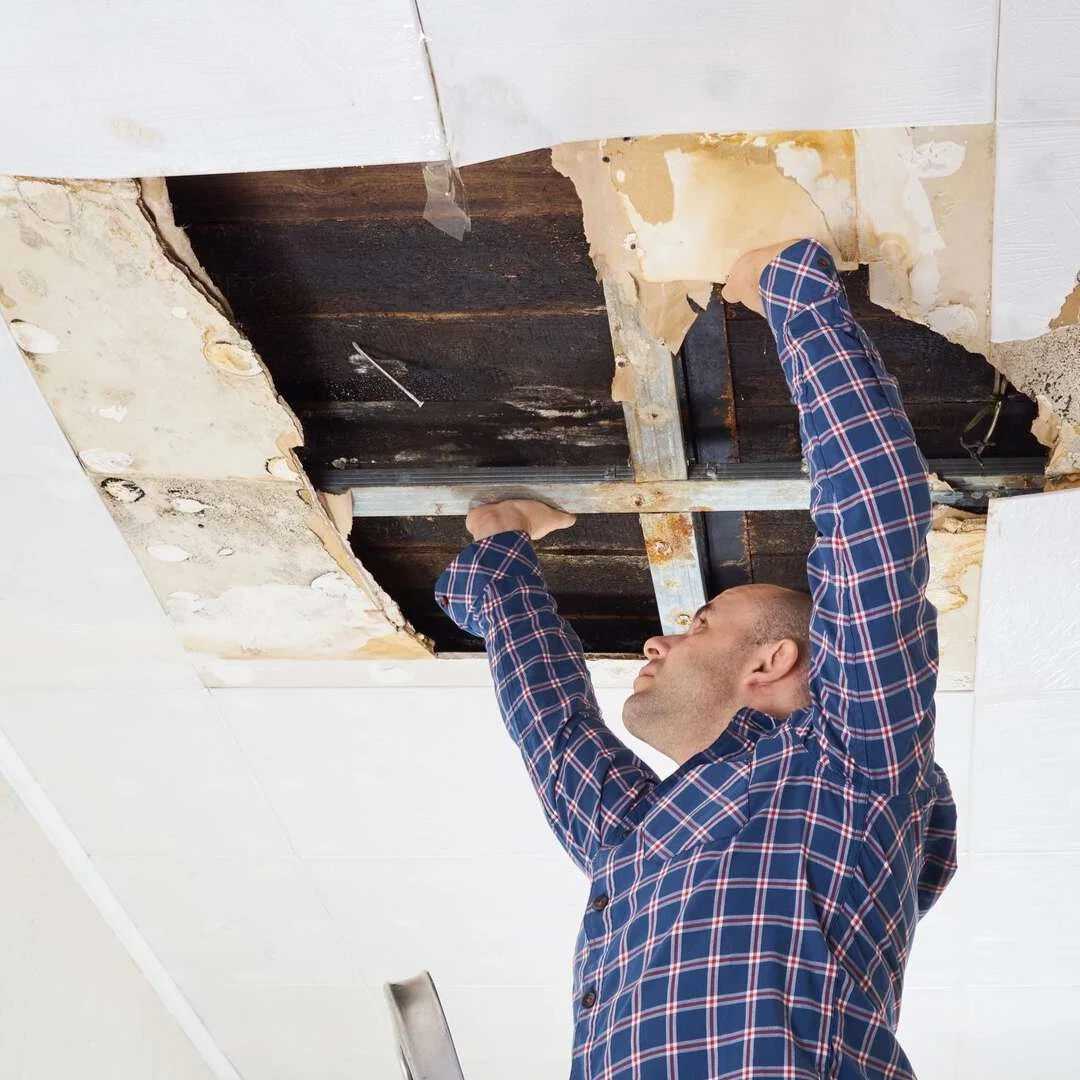 Plasterer repairing a damaged ceiling
